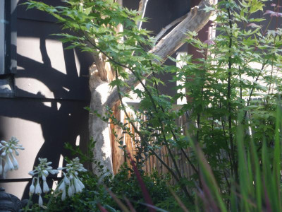 P1130426.JPG