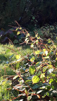 20181012_083828.jpg