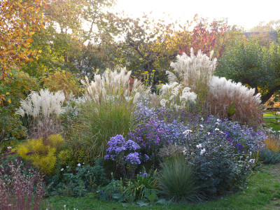 2018-10-17 Gartenimpressionen 1.jpg