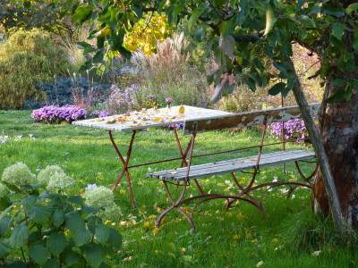 2018-10-17 Gartenimpressionen 2.jpg