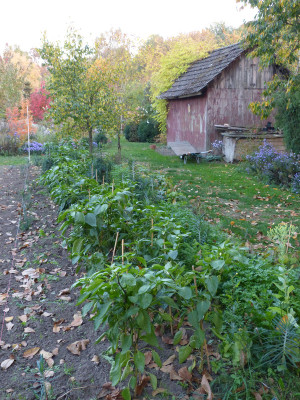 2018-10-17 Garteneinblick 3.jpg