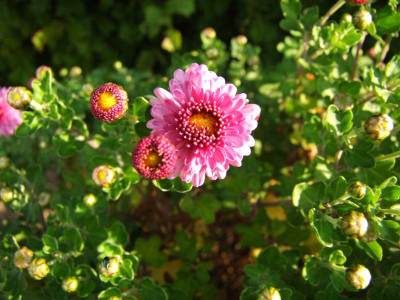 17.10.2018 11-33-43_7287.jpg