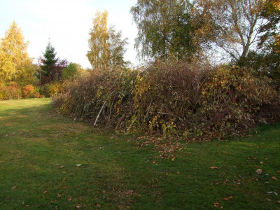 17.10.2018 11-29-07_7167.jpg