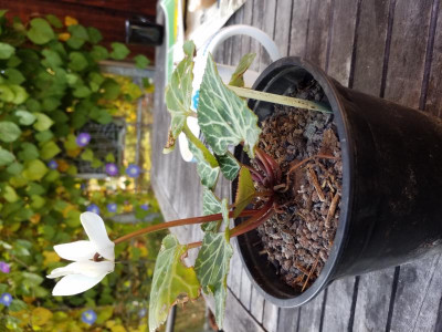 20181019_144320.jpg
