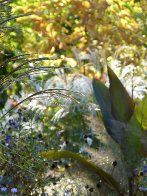 2018-10-19 Gartenimpressionen 6.jpg