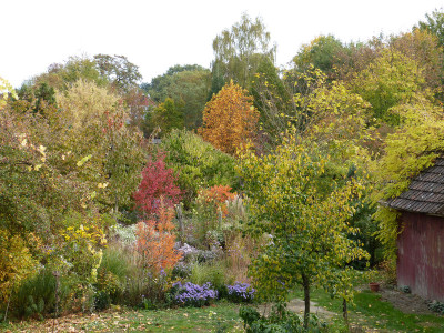 2018-10-20 Garteneinblick 1.jpg