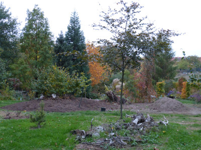 2018-10-20 Birkenhain 2.jpg