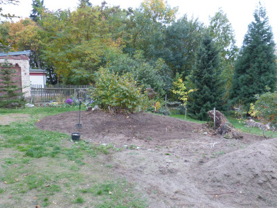 2018-10-20 Birkenhain 5.jpg