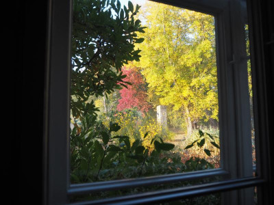 Guten Morgen 21.10.18 ue.JPG