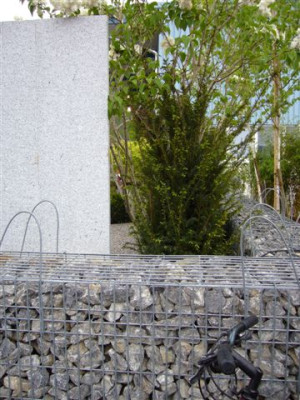 Stein-Mauer_1.JPG