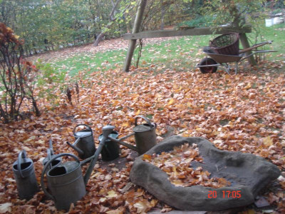 DSC05524.JPG
