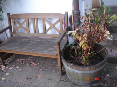 DSC05522.JPG