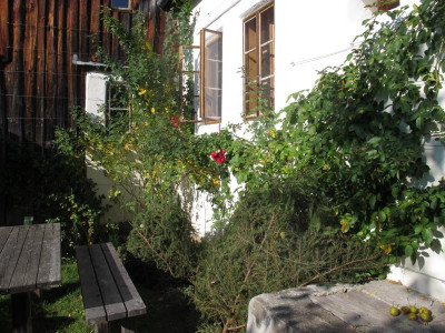 eingewintert.img.JPG