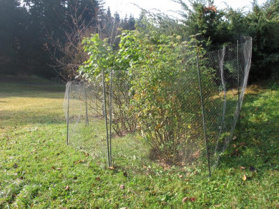 eingewintert2.img#.JPG