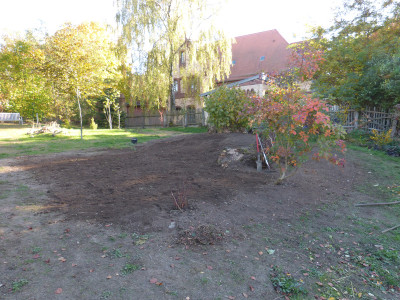2018-10-21 Birkenhain 1.jpg