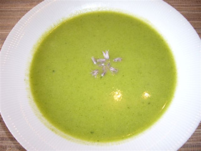 Brennnessel-Suppe_07.05.2007.JPG
