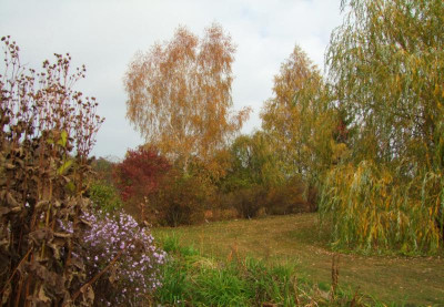 21.10.2018 17-09-52_7480.jpg