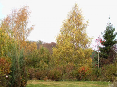 21.10.2018 17-10-18_7491.jpg