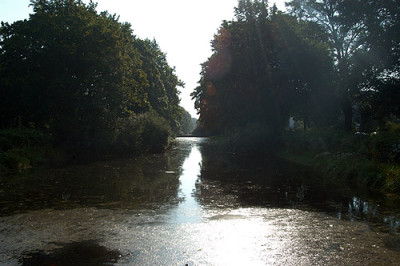 rautenstrauchstr_6550.jpg