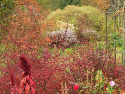21.10.2018 17-10-13_7489.jpg