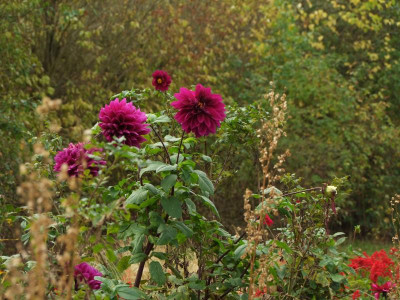 21.10.2018 17-10-25_7494.jpg