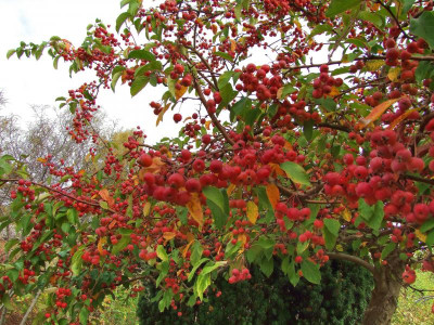 21.10.2018 17-06-33_7388.jpg