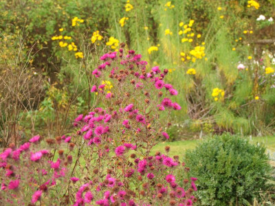 21.10.2018 17-13-22_7573.jpg
