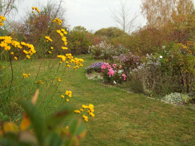 21.10.2018 17-13-01_7564.jpg