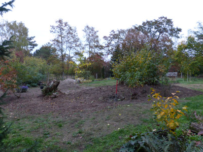 2018-10-20 Birkenhain 4.jpg