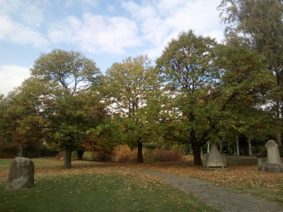 IMG_20181021_141411.jpg