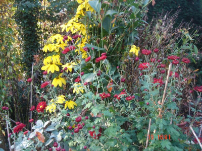 DSC05509.JPG