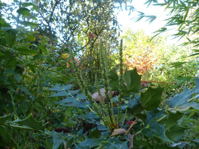 P1020443.JPG