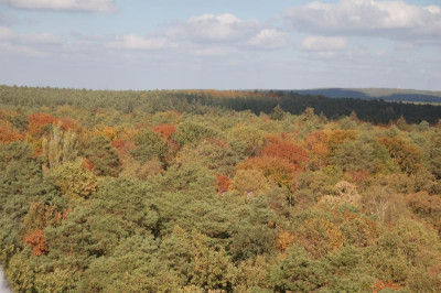DSC_4162.JPG