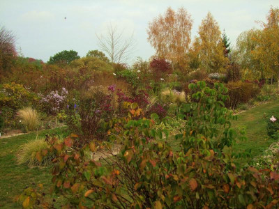 21.10.2018 17-13-10_7568.jpg