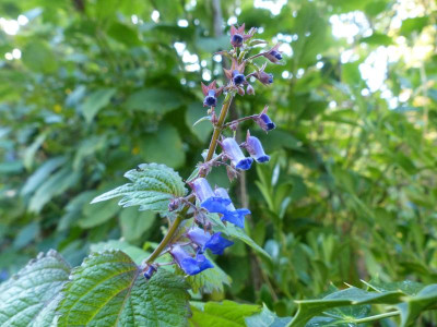 P1020444.JPG