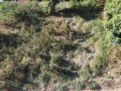 Hang rechts PA210122.JPG