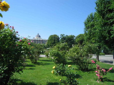 volksgartenpinkklein.jpg