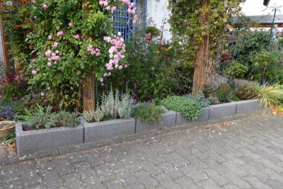 Vorgarten.18-3.jpg