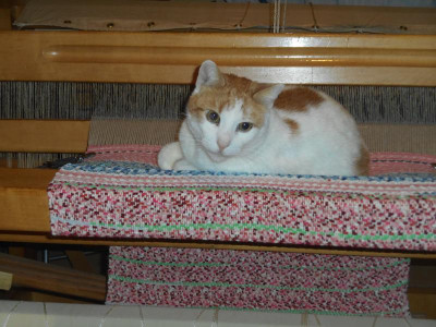 DSCN1155.JPG