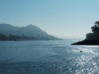 PA100640_DxO1zu1.jpg