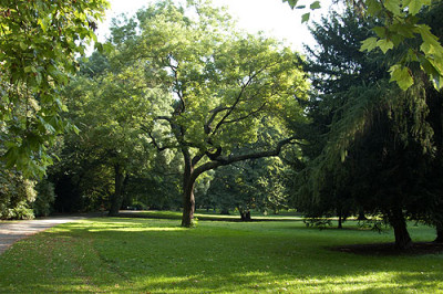 stadtgarten_6575.jpg