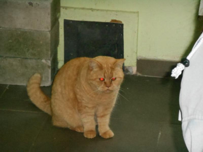 DSCN0340.JPG
