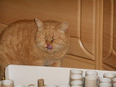 Boah, war lecker.JPG