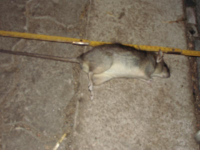 DSCI0911.JPG