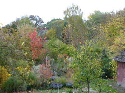 2018-10-27 Garteneinblick 3.jpg
