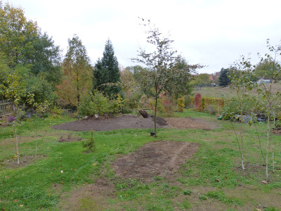 2018-10-28 Birkenhain 0.jpg