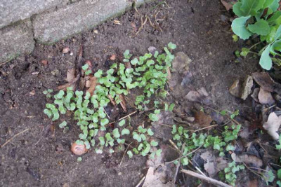 K640_100_3449.JPG