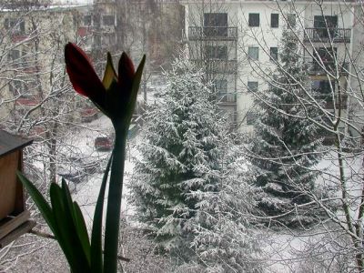 DSCN1666004.jpg