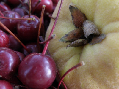 PA310269.JPG