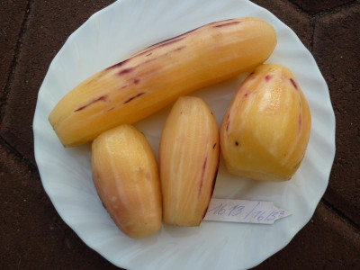P1050344.JPG